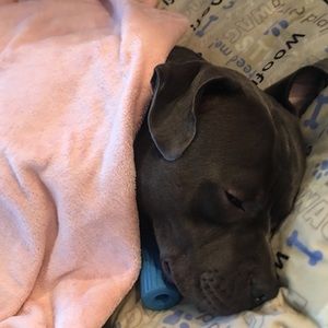 Meet your Posher, Adrianne